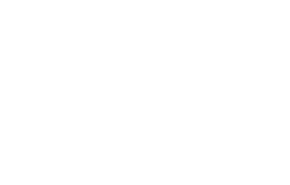 The Magic Paws | Professional Pet Teeth Cleaning