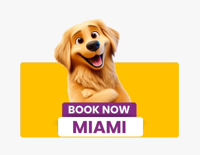 Book Now