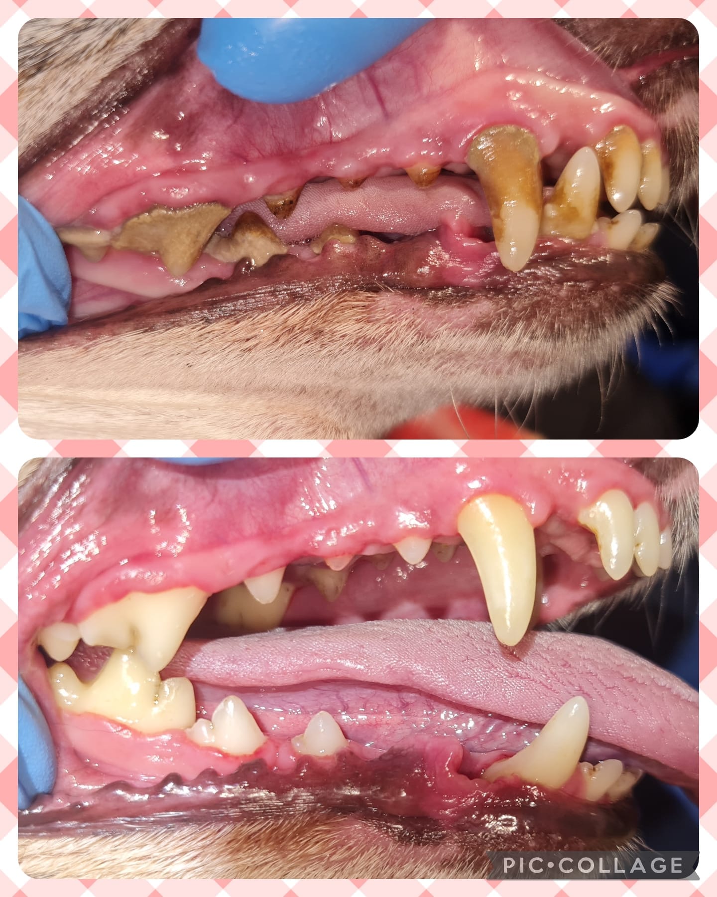 WhatsApp Image 2024-08-23 at 7.35.38 PM