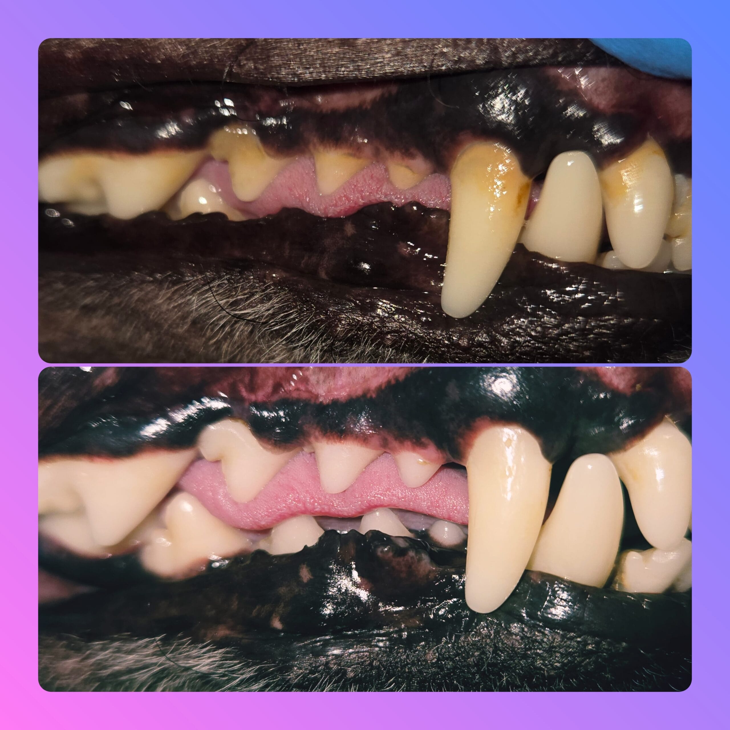 WhatsApp Image 2024-12-04 at 6.13.26 PM