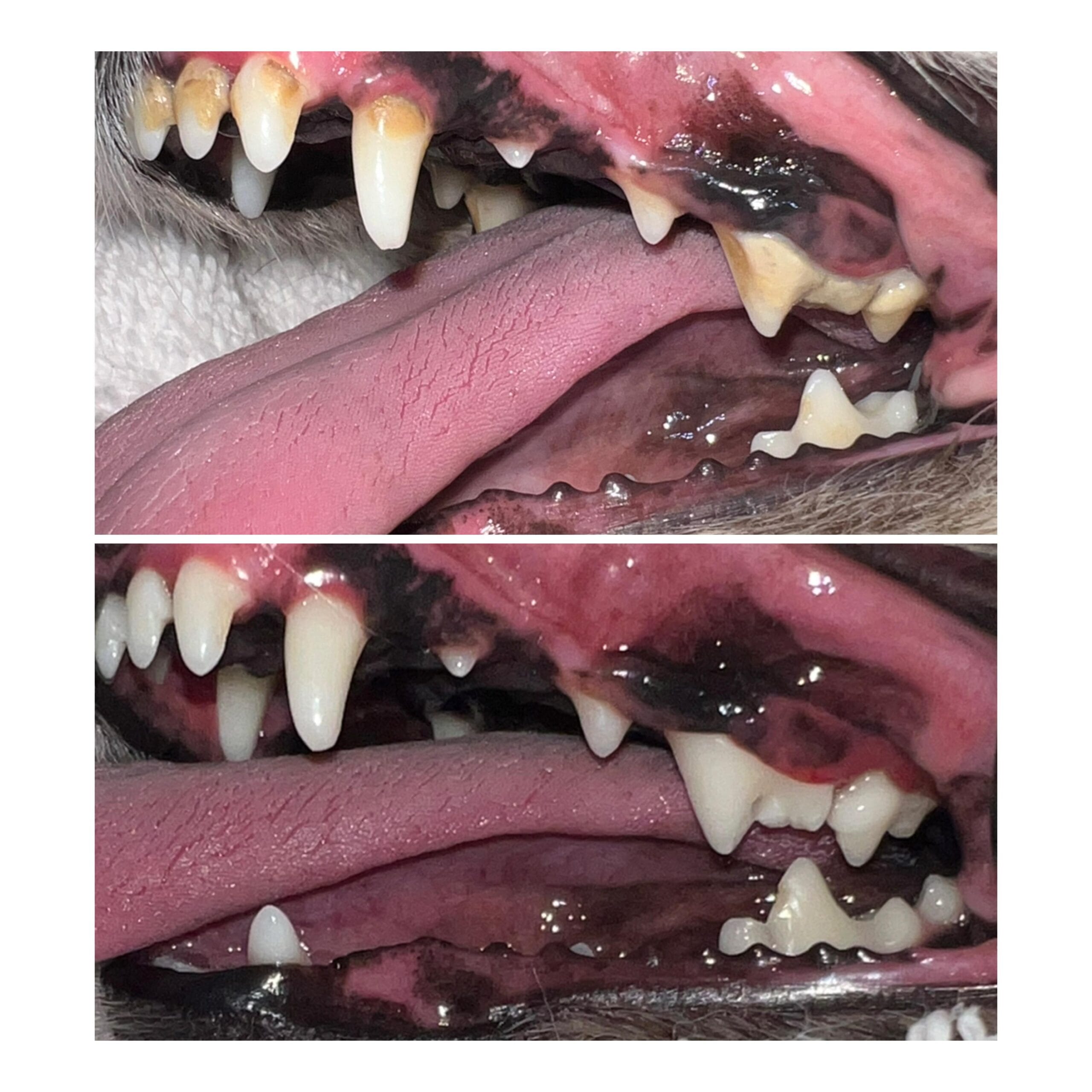 WhatsApp Image 2024-12-04 at 8.40.16 PM (2)