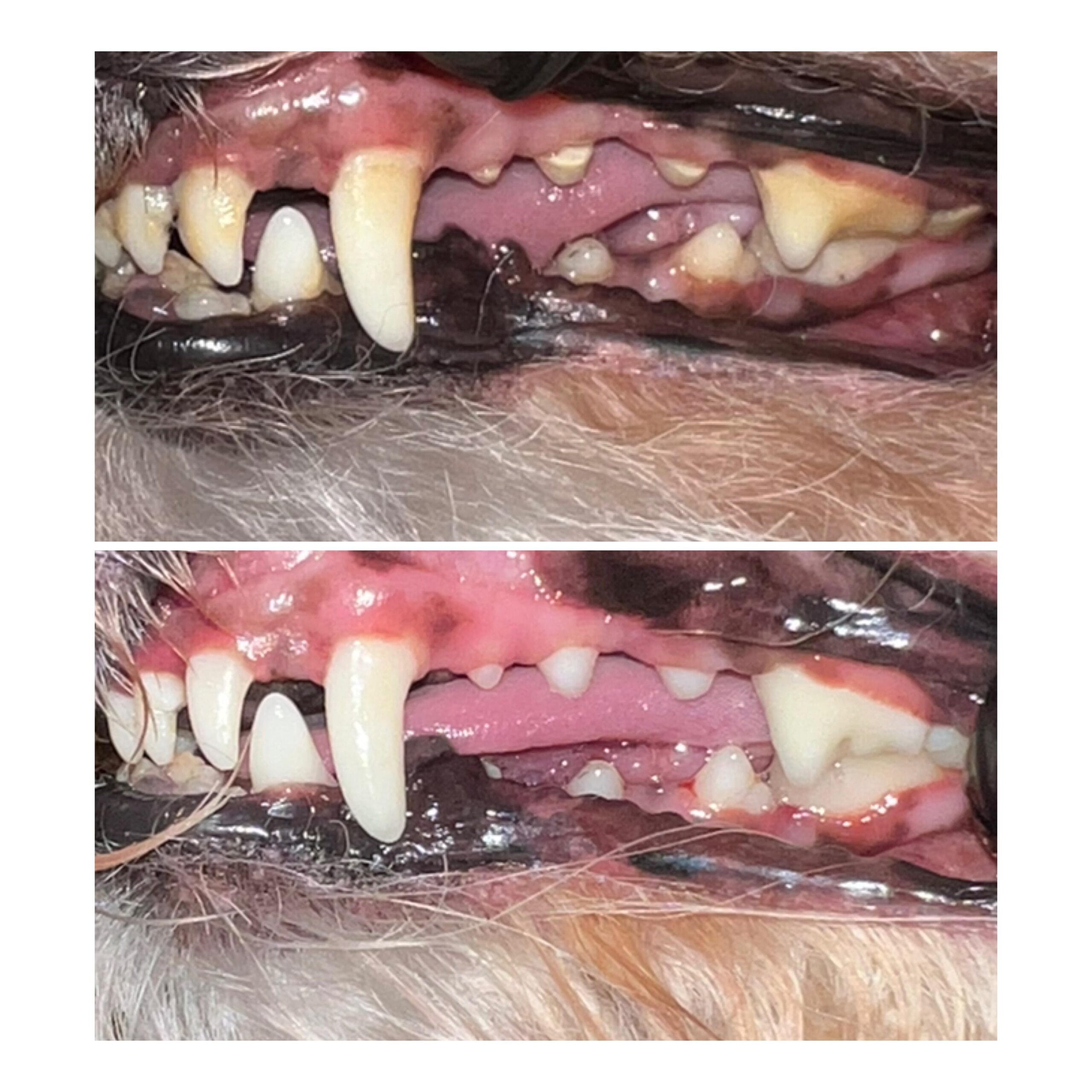 WhatsApp Image 2024-12-04 at 8.40.17 PM (4)