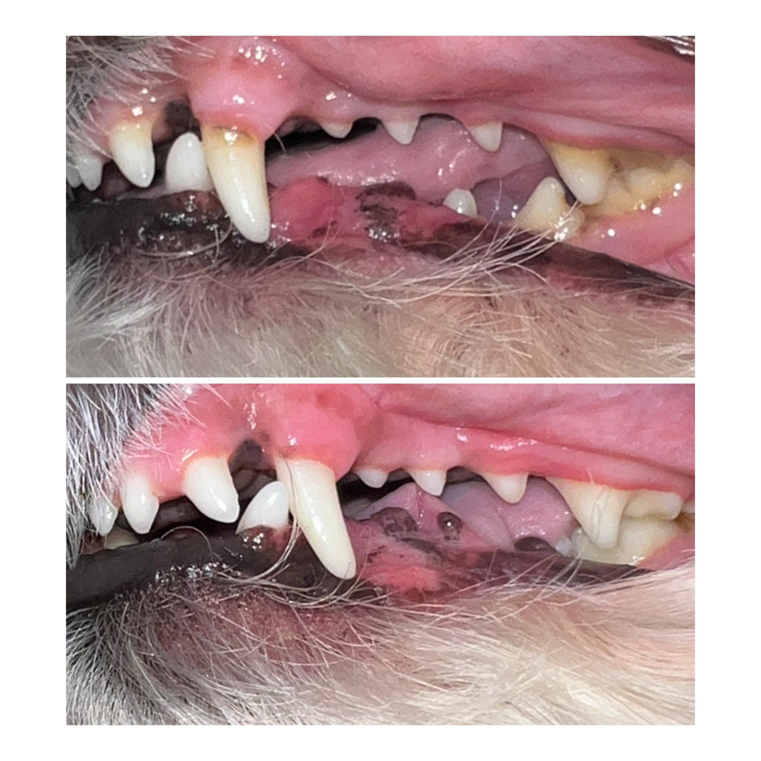 WhatsApp Image 2024-12-04 at 8.40.17 PM