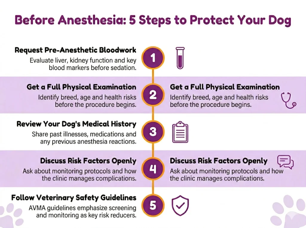 Infographic with 5 steps to protect your dog before dental anesthesia, including bloodwork and physical exam.