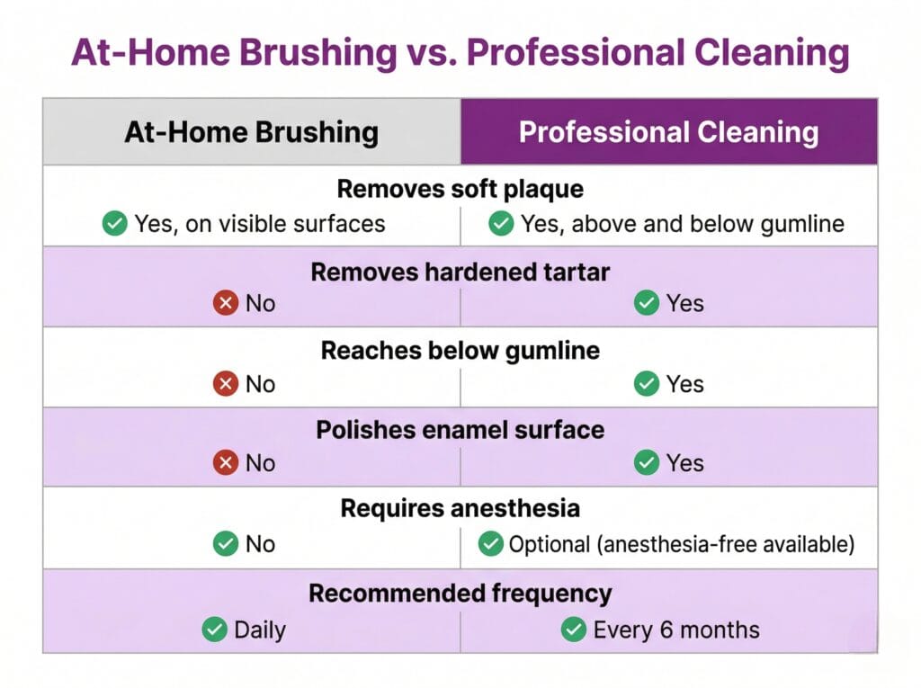 Comparison table showing the differences between at-home cat brushing and professional cat teeth cleaning across six categories.