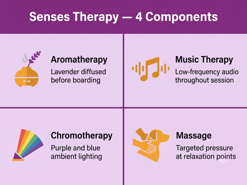 Infographic showing the four components of Senses Therapy: aromatherapy, music therapy, chromotherapy, and massage
